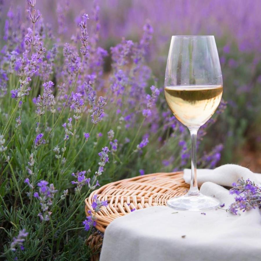 Le Mas Aux Aromes Puget Экстерьер фото
